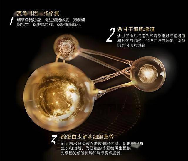 众汇交易平台可靠吗众汇金融国际理财平台能否成为2025年的理财新风口？
